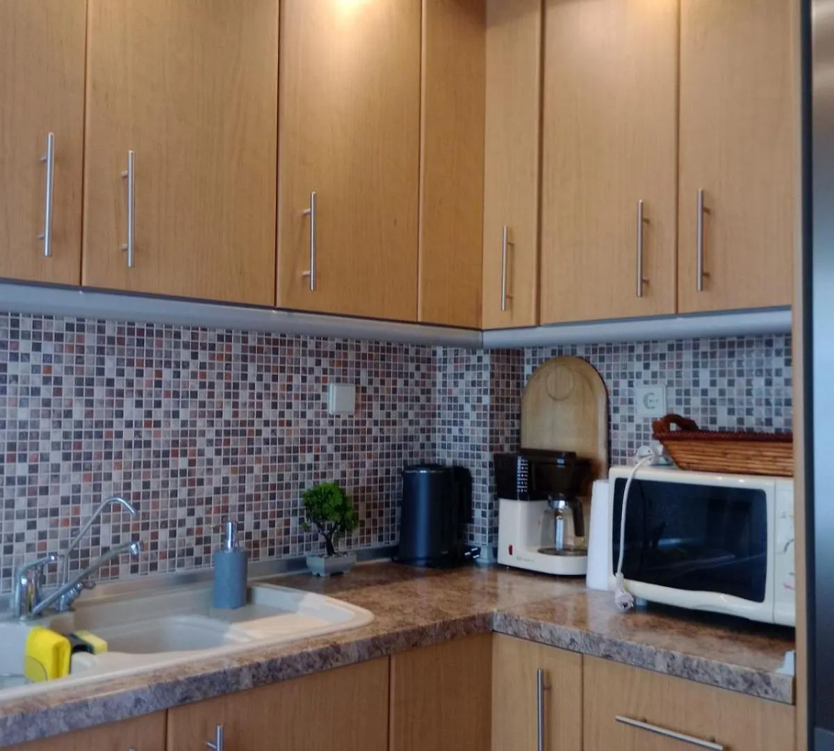 Sea Paradise Apartment Nea Moudania Greece