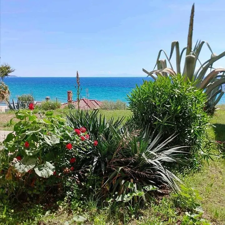 Sea Paradise Apartment Nea Moudania 0*,